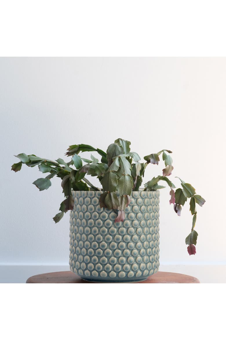 Planter Pot with Polka Dots, Alternate, color, Blue