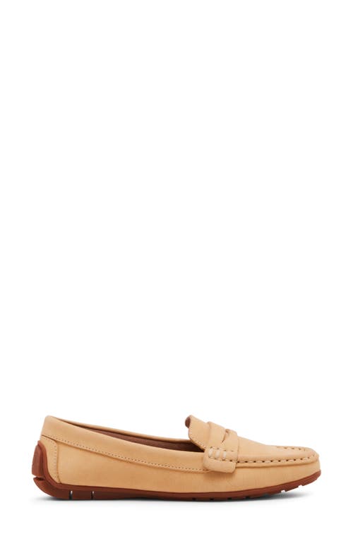 Blondo Shellby Waterproof Driving Loafer In Nude