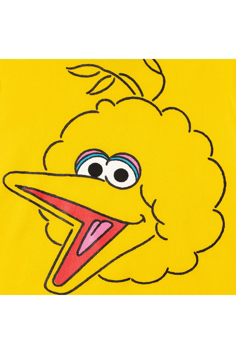 Fleece Pullover Hoodie, Alternate, color, Big Bird Yellow