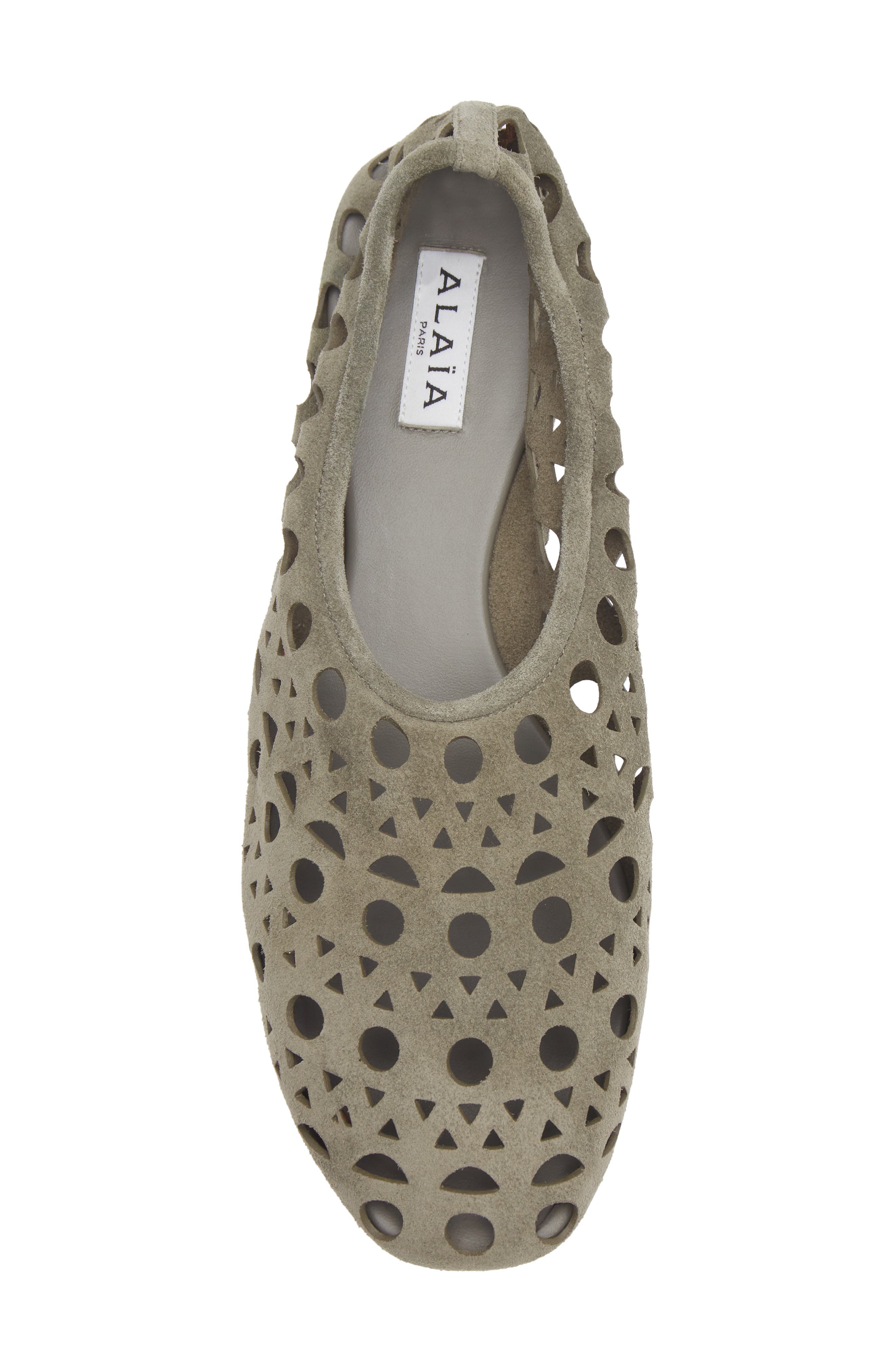 Neo Vienne Perforated Ballet Flat, Alternate, color, VERT CENDRE
