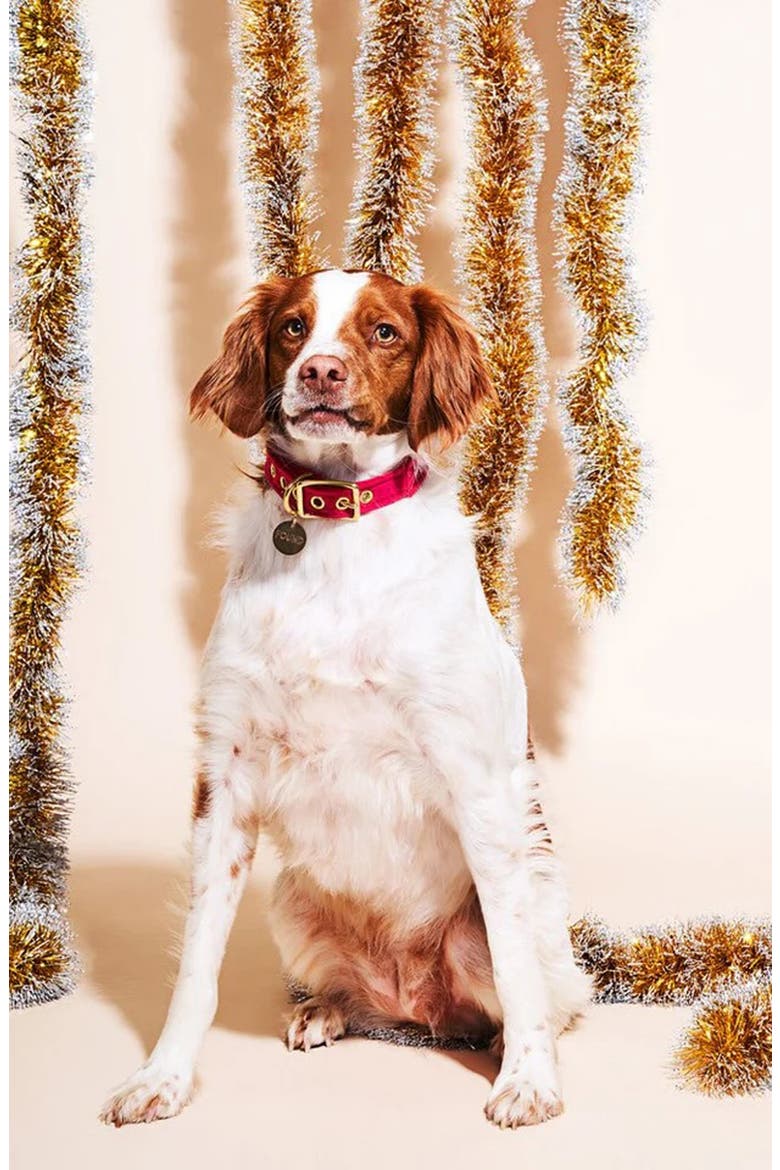 Red Velvet Dog Collar, Alternate, color, PINK