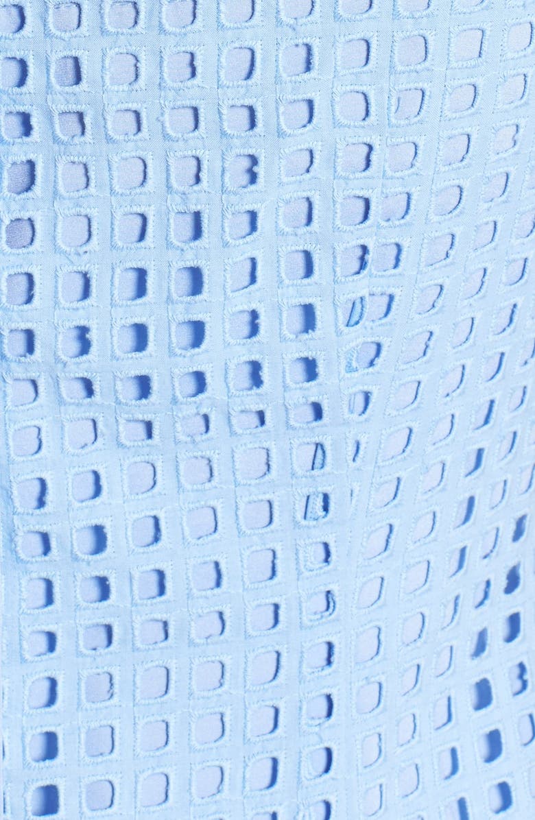 Ivy & Blu Inset Organza Trim Cotton Eyelet Shift Dress, Alternate, color, 