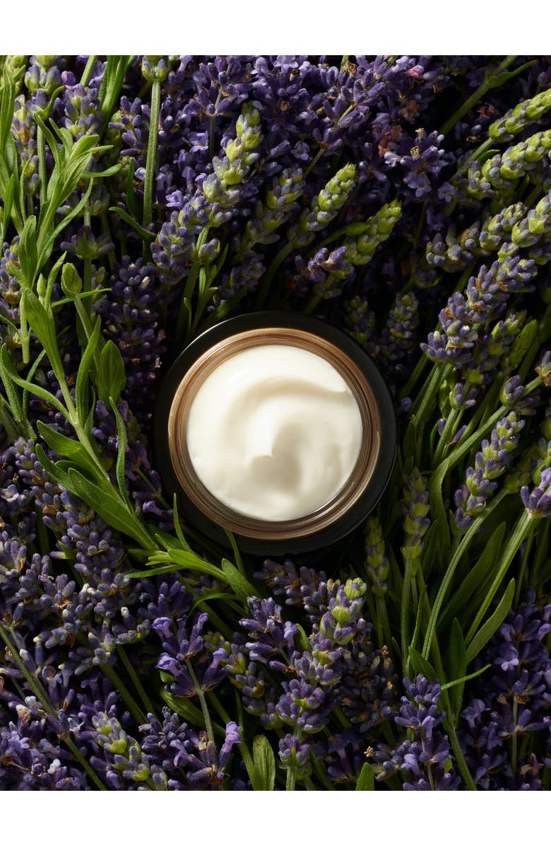 True Botanicals Body Love Boob Cream, Alternate, color,