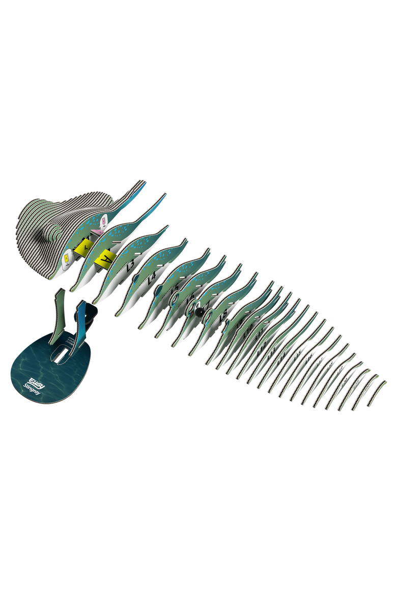 Stingray 3D Puzzle, Alternate, color, No Color