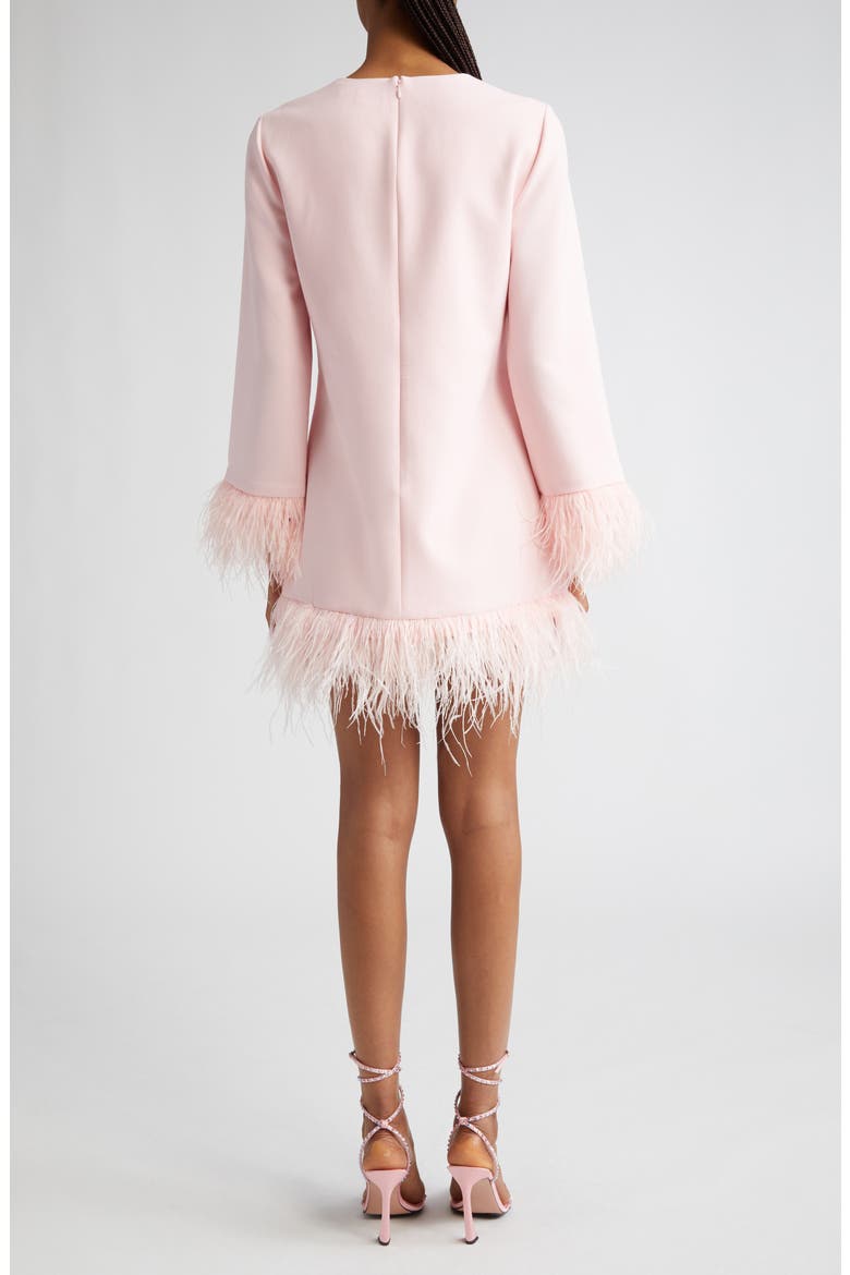 Marullo Feather Trim Long Sleeve Dress, Alternate, color, ROSE SHADOW