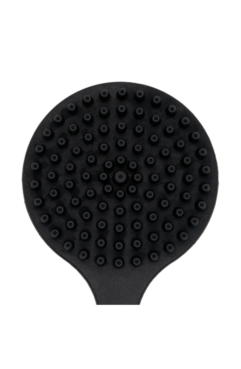 Pete & Pedro Long Handle Back & Body Shower Scrub Brush, Alternate, color, NO COLOR