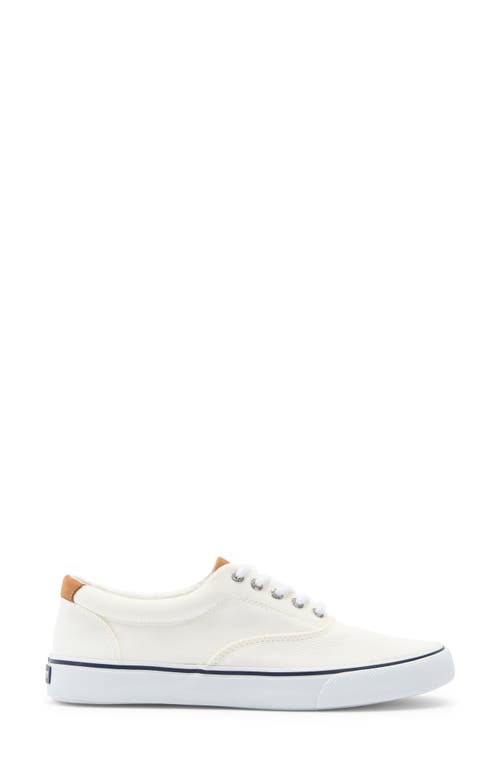 Sperry Striper Ii Cvo Sneaker In White