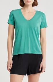 Madewell Softfade V-Neck Tee