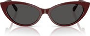 Jimmy Choo 55mm Cat Eye Sunglasses