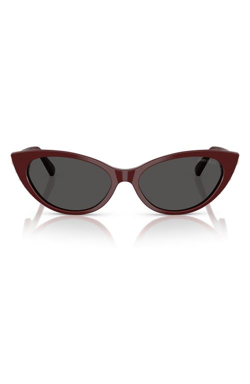 Jimmy Choo 55mm Cat Eye Sunglasses In Red