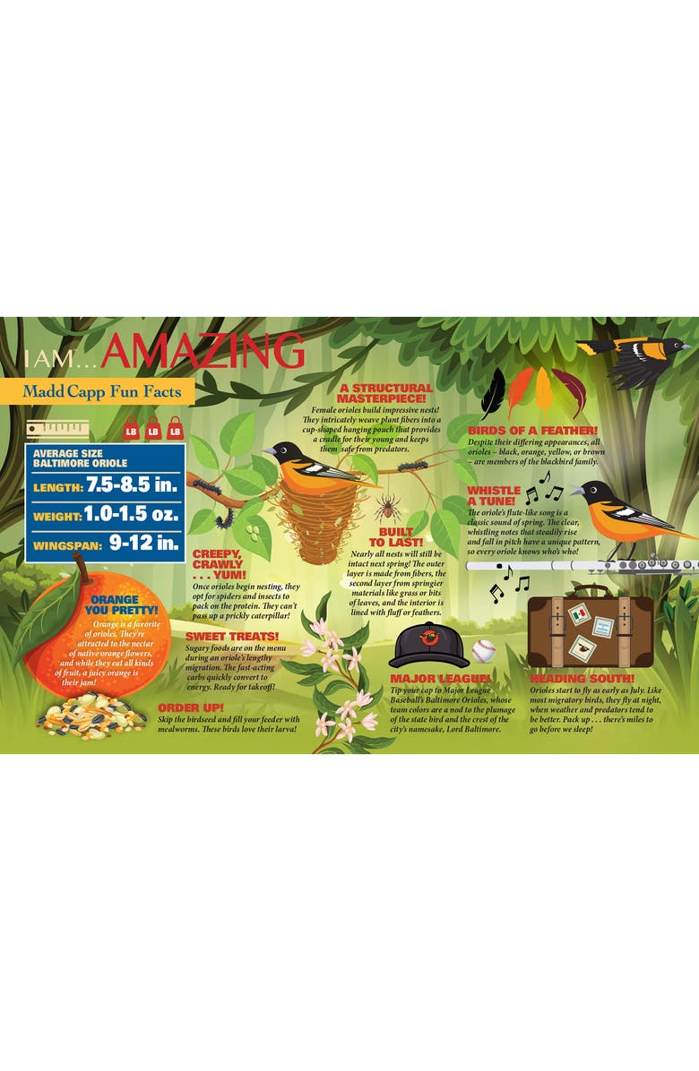 Madd Capp I Am Oriole 300 Piece Bird Shaped Jigsaw Puzzle, Alternate, color, Multicolored