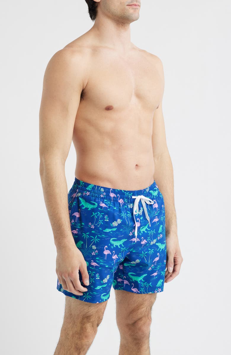 Chubbies The Swamp & Circumstance 5.5-Inch Swim Trunks, Alternate, color, Bright Blue