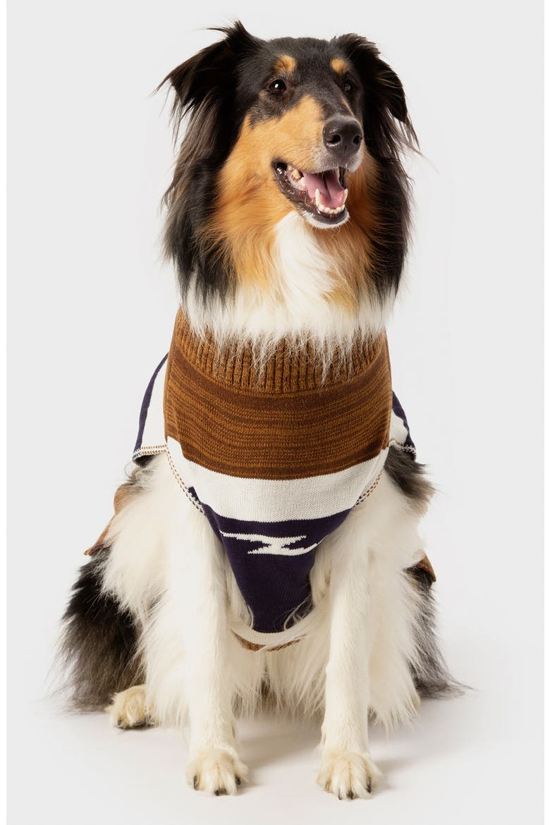 Logo Jacquard Dog Sweater, Alternate, color, BROWN