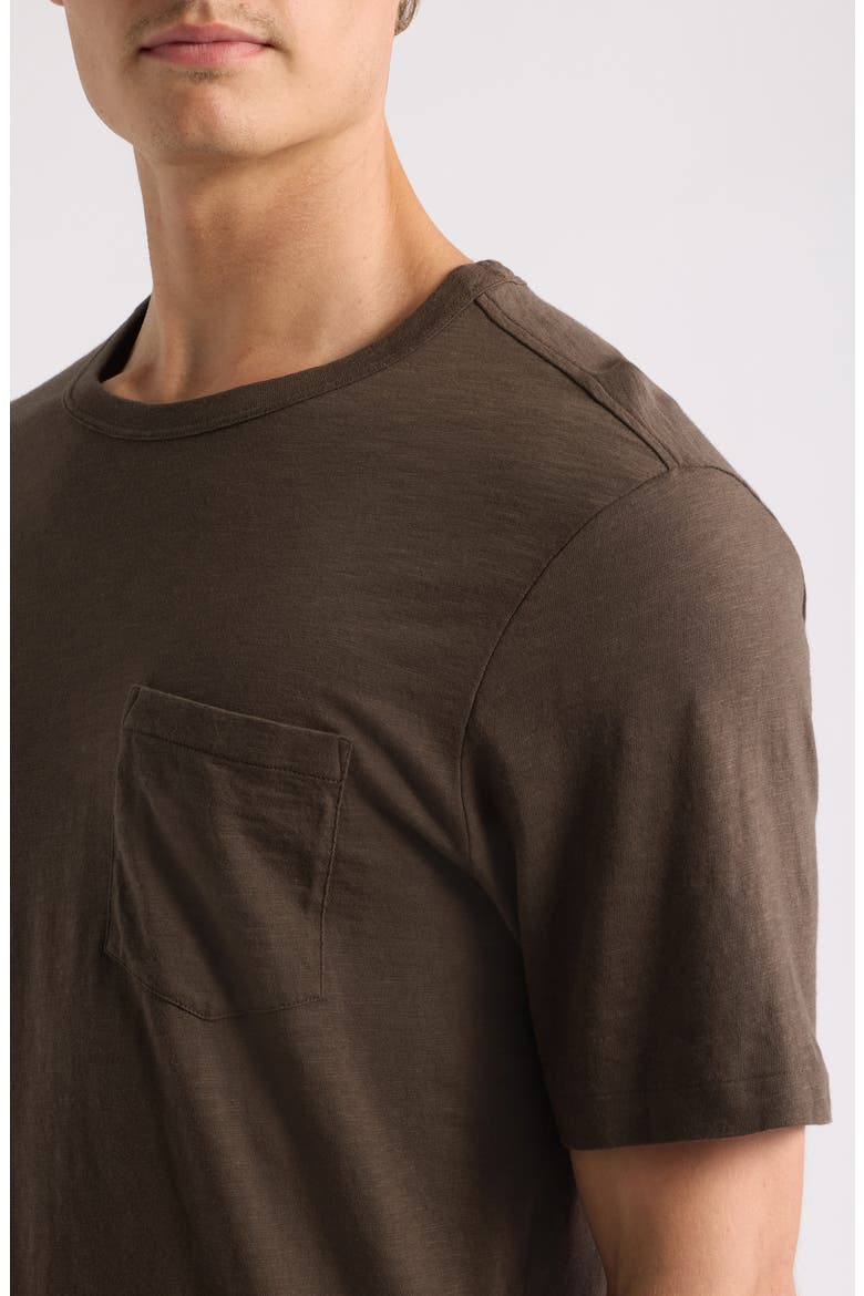 Sunwashed Pocket T-Shirt, Alternate, color, COAST BROWN