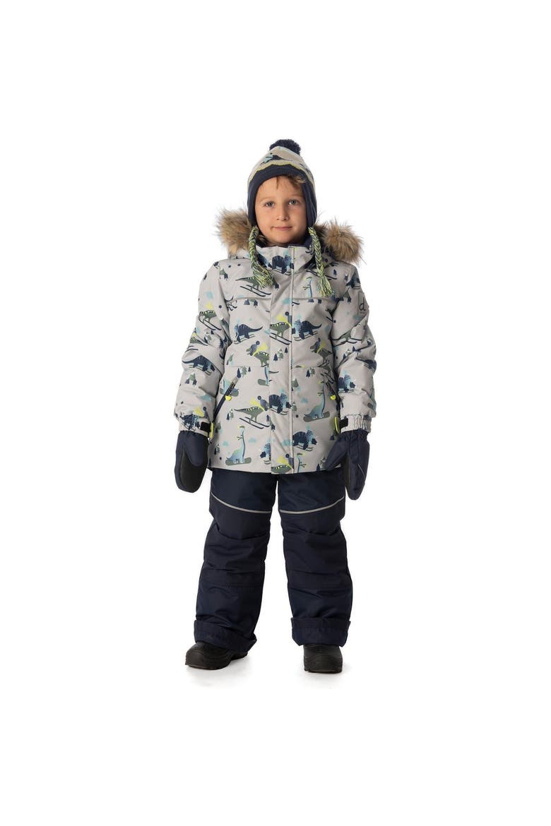 Skiing Dinosaur Discover Fleece Jacket Snow Pants Two Piece Snowsuit, Alternate, color, Grey Skiing Dinosaurs Print