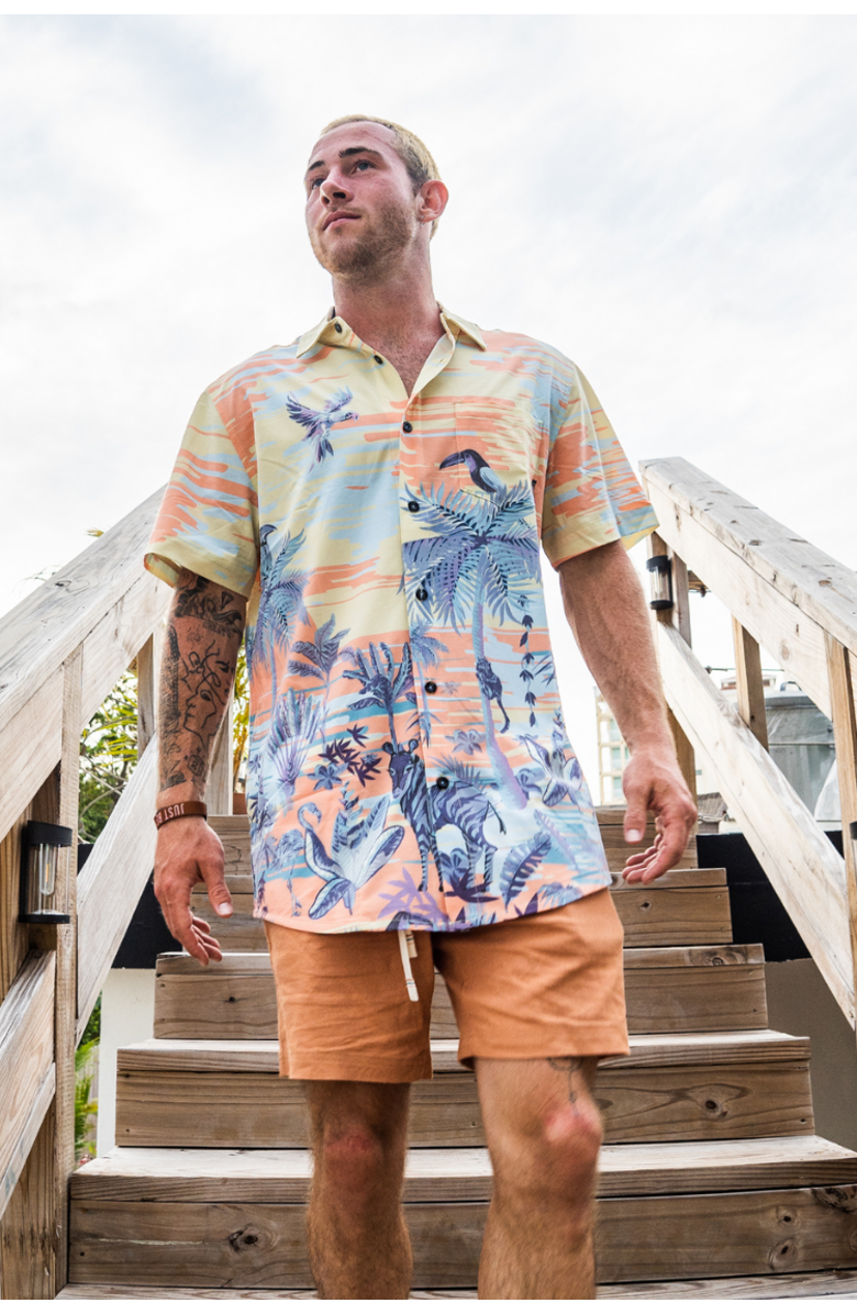 Baja Llama Time Before Land - Vagabond Button Up, Alternate, color, Multi