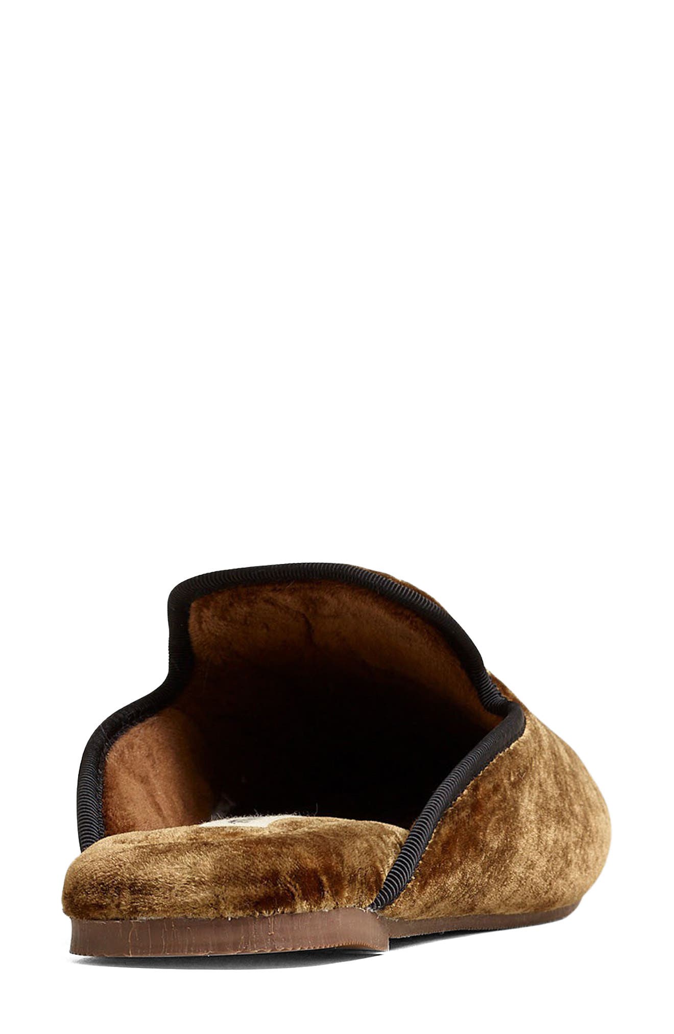 Madewell The Ezra Velvet Slipper, Alternate, color, 