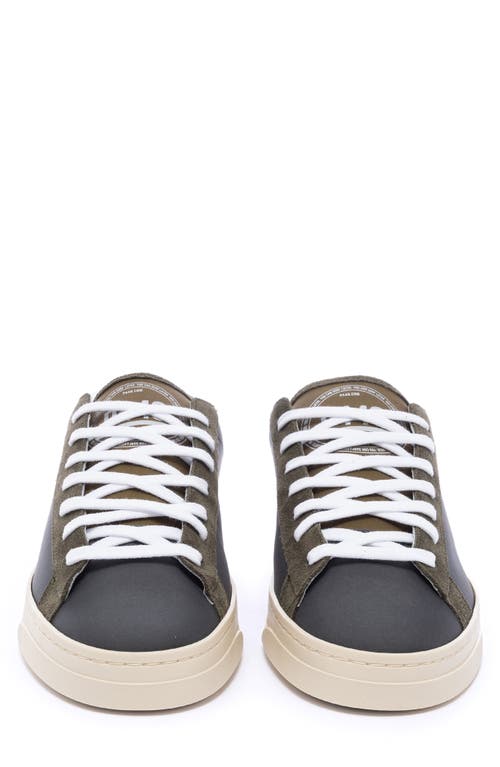 P448 Jack Sneaker