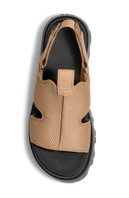 Ugg(r) Celeste Sandal In Sand