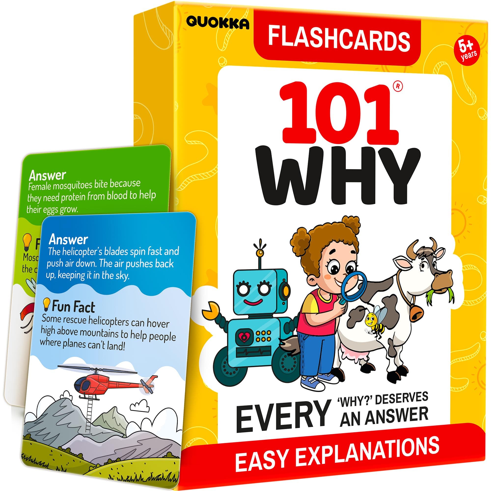 selected 101 Why Flashcards