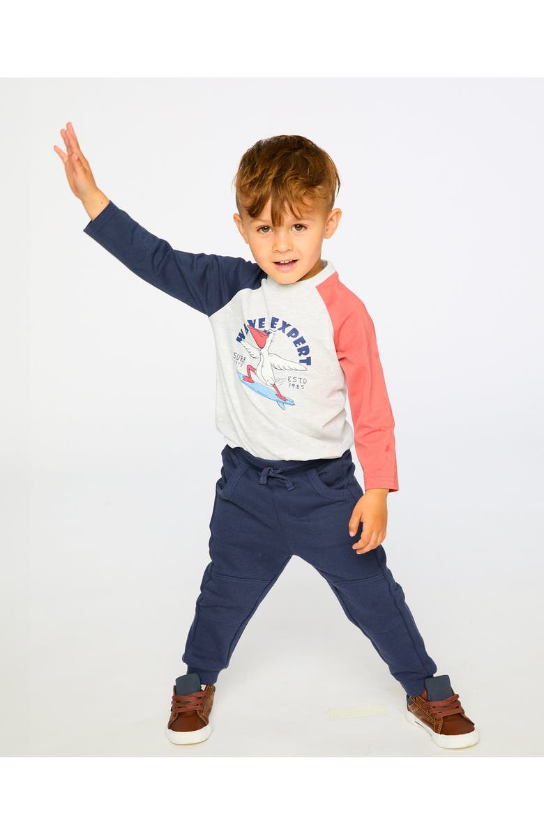 Deux par Deux Jersey Pelican Graphic Long Sleeve T-Shirt, Alternate, color, Light Grey Mix