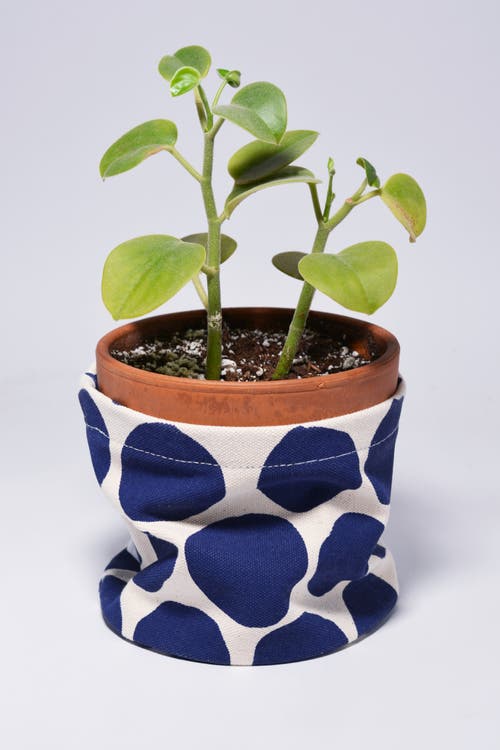 Dance Happy Large Circles Round Bin/canvas Planter In Navy