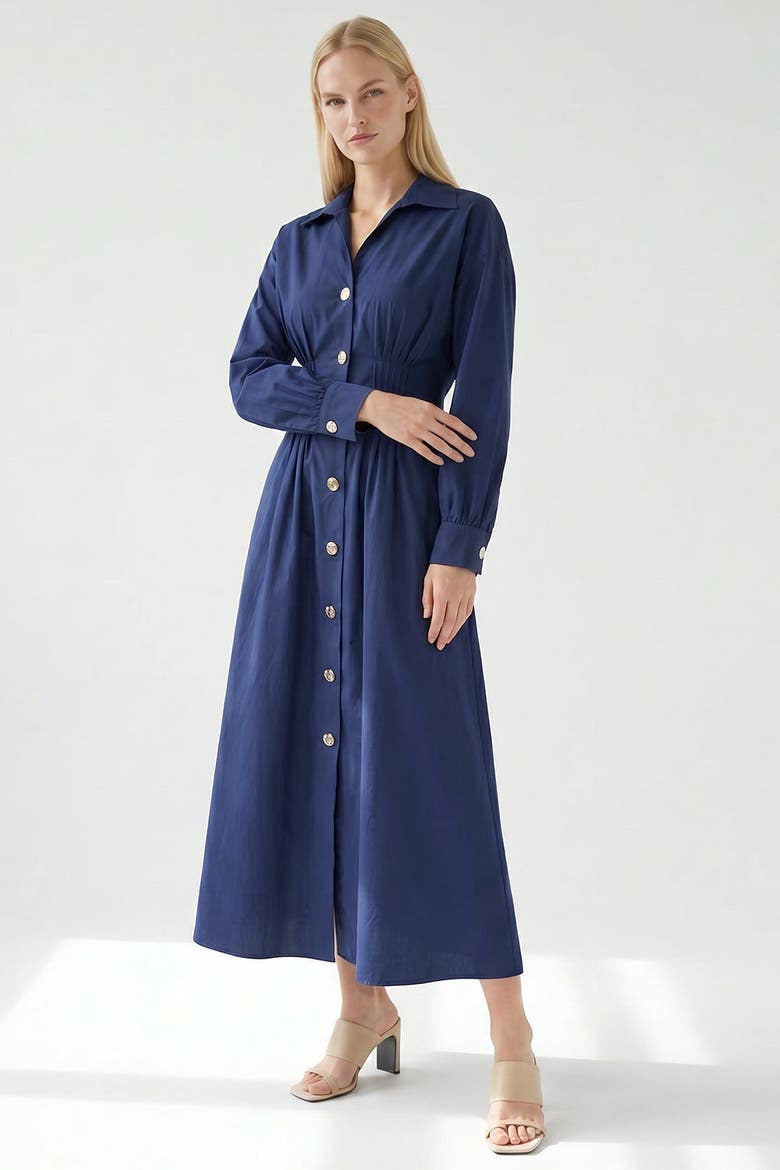Delray Long Sleeve Buttoned Midi Dress, Alternate, color, Navy