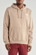 The North Face Evolution Boxy Graphic Hoodie