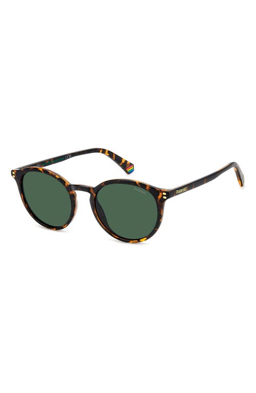 Polaroid 51mm Polarized Phantos Sunglasses In Havana/green Polar