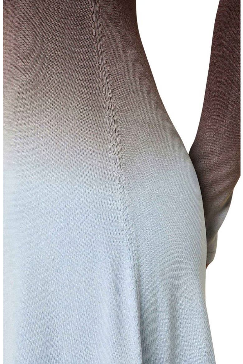 The Dora Ombré Colorblock Long Sleeve Knit Maxi Dress, Alternate, color, TWILIGHT / RAISIN BROWN