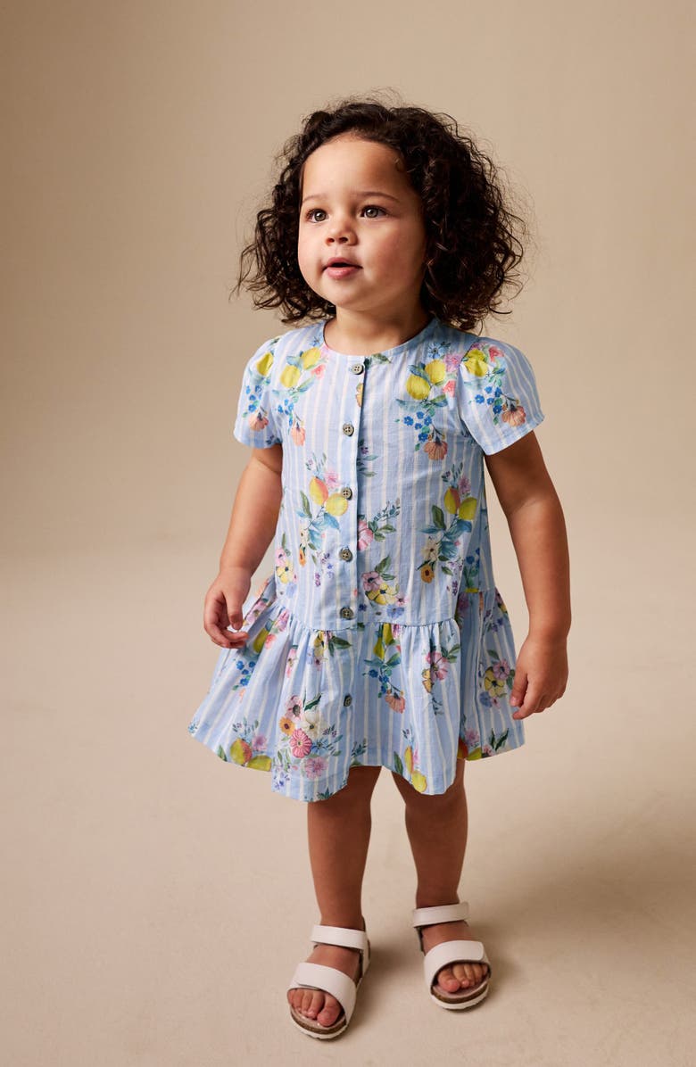 NEXT Kids' Floral Stripe Cotton Button-Up Dress, Alternate, color, Blue