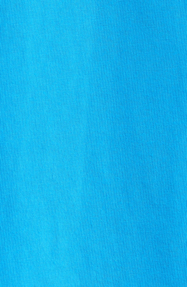 Vans Bright Day Cotton Graphic T-Shirt, Alternate, color, Bright Azure