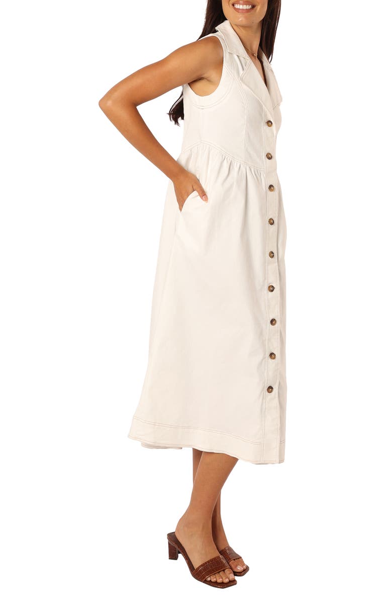 Petal & Pup Sonja Sleeveless A-Line Dress, Alternate, color, 