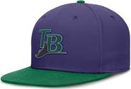 Nike Men's Nike  Purple/Green Tampa Bay Rays  True Primetime Two-Tone Performance Fitted Hat