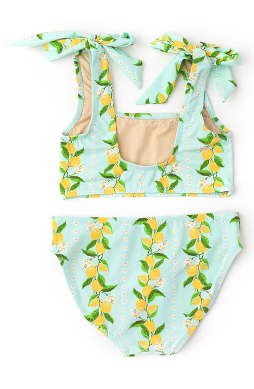SHADE CRITTERS SHADE CRITTERS KIDS' CITRUS GROVE TWO-PIECE SWIMSUIT 