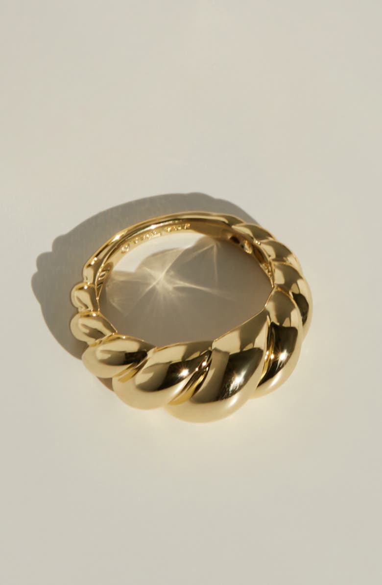 Ana Luisa Gold Twist Ring - Rope Bold, Alternate, color, 