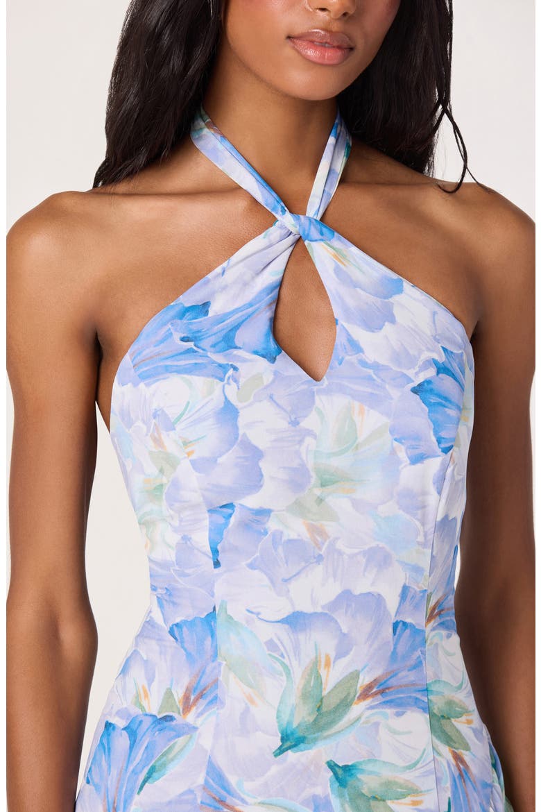 Bethina Floral Halter Neck High-Low Dress, Alternate, color, PURPLE FLORAL