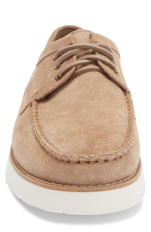 Steve Madden Kolt Moc Toe Derby In Brown