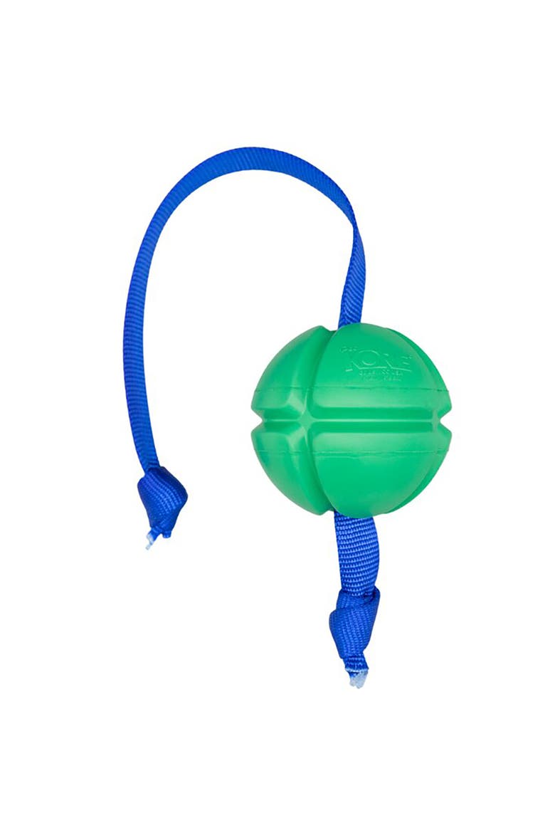 FloTex Tug, Large, 3.25 Inches, Green, Rubber Dog Toy, Alternate, color, Green