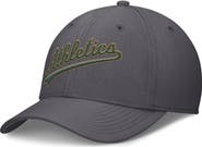 Nike Men's Nike Gray Athletics Swoosh Performance Flex Hat