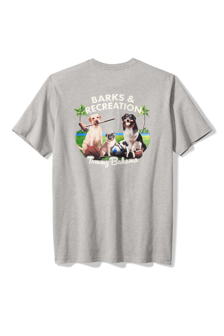 Barks & Recreation Graphic T-Shirt, Alternate, color, GREY HEATHER