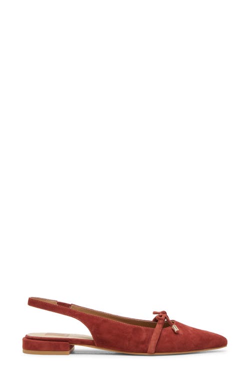 Dolce Vita Payge Pointed Toe Slingback Pump In Brown