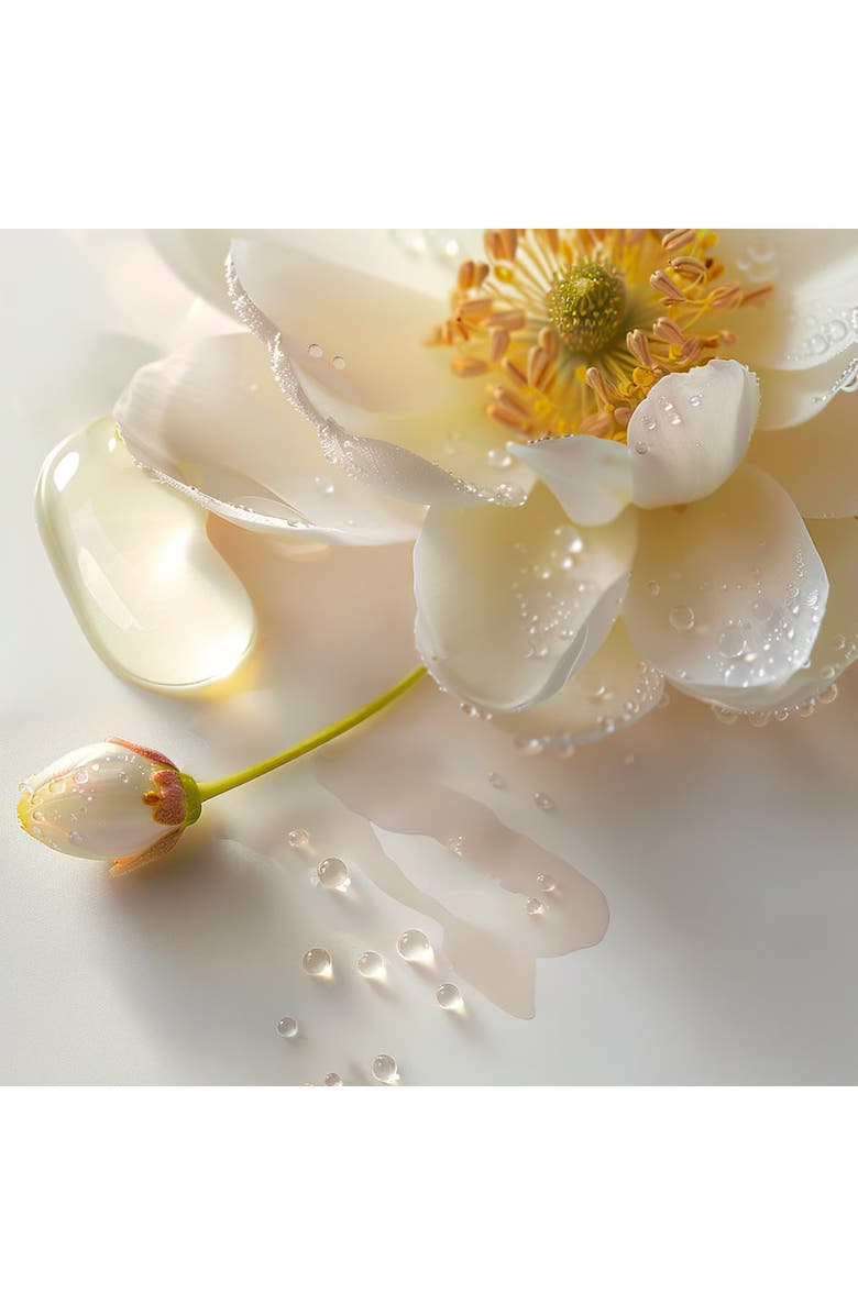 Leonor Greyl PARIS Laque Souple Light to Medium Hold Hair Spray, Alternate, color, 