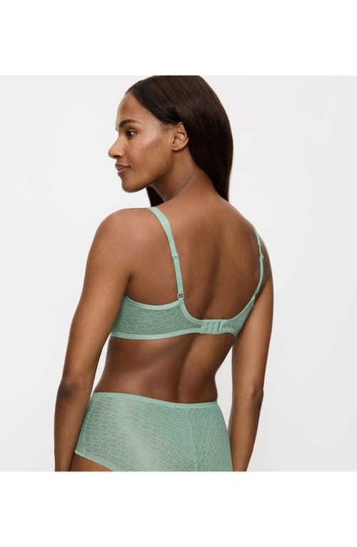 Triumph Signature Sheer Minimizer Bra In Blue