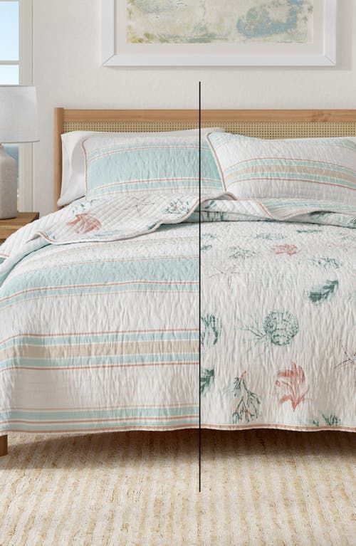 Woven & Weft Coastal Print Cotton Quilt & Sham Set In Flag Stripe/kelp Breeze
