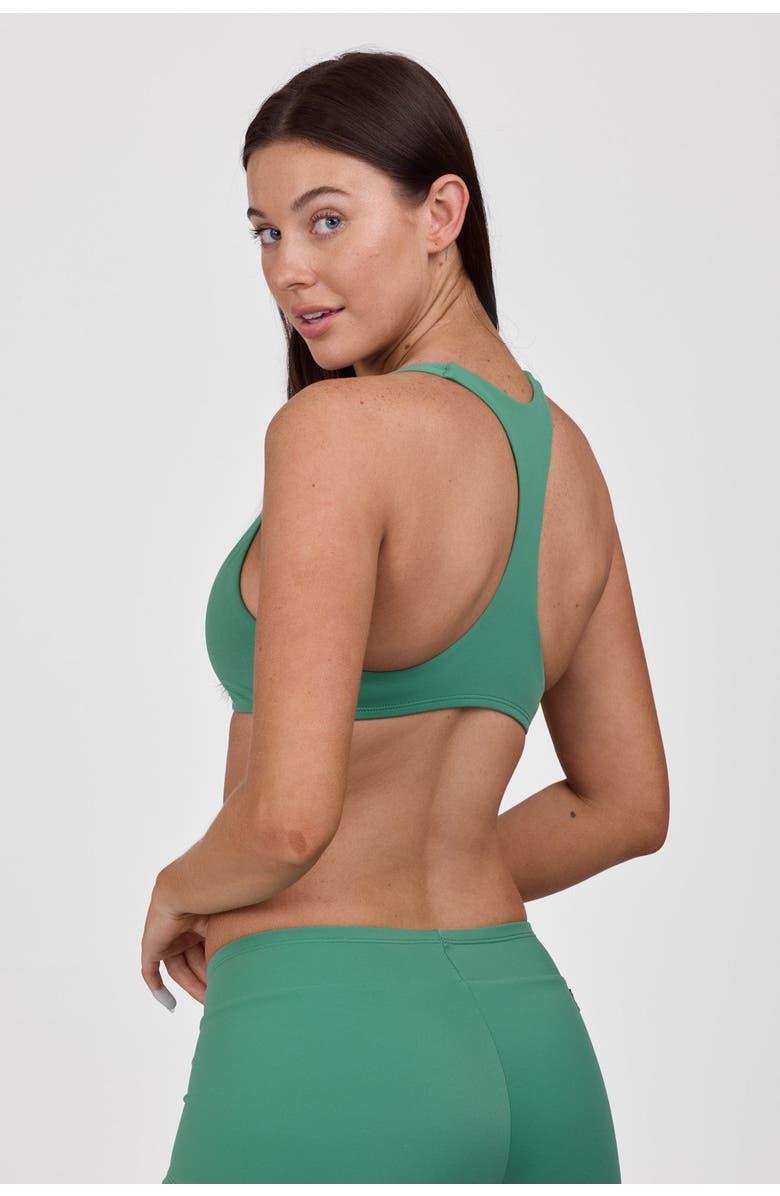 JOLYN Beverly Bikini Top, Alternate, color, Kale