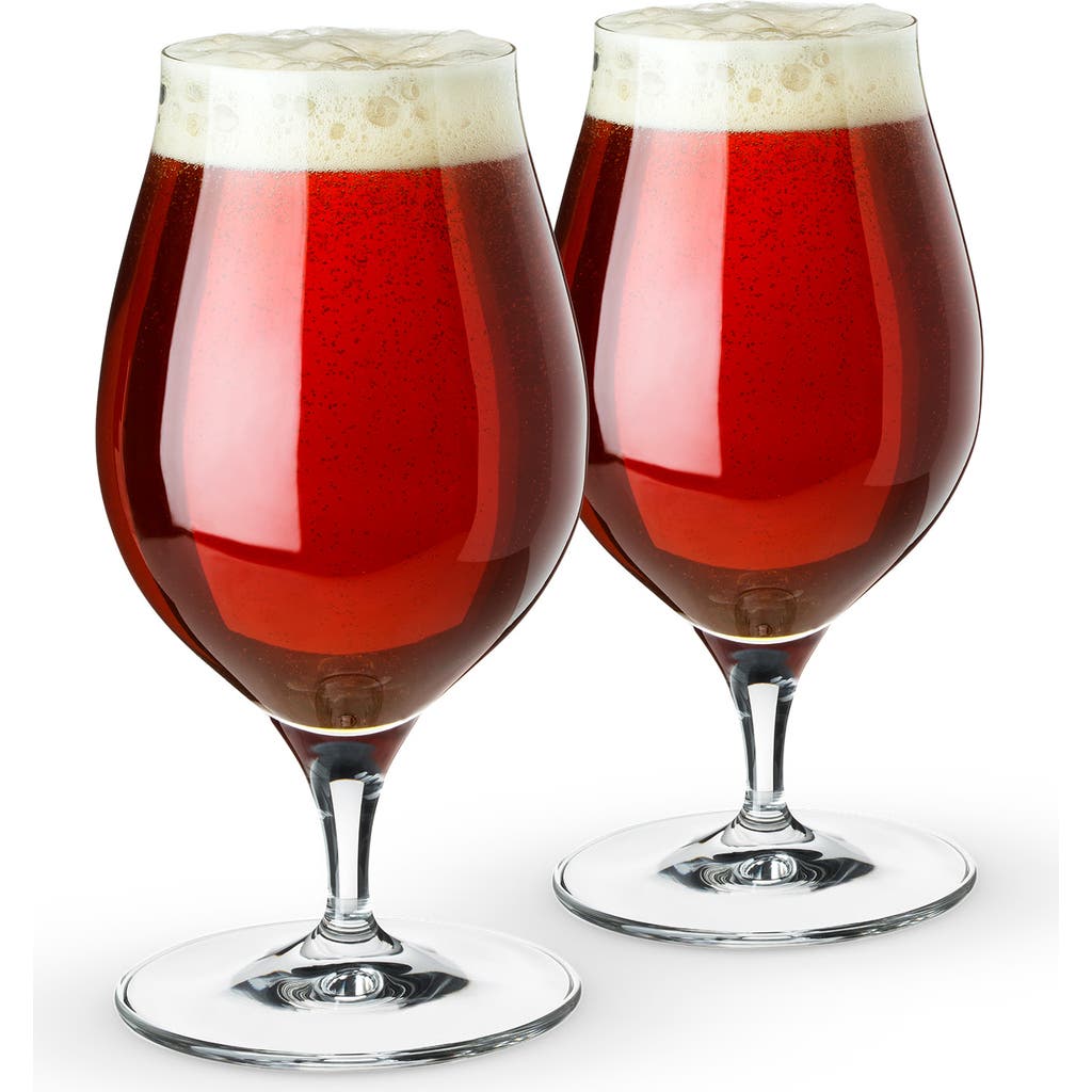 SPIEGELAU Barrel Aged Beer Glass Set of 2 in Clear  product