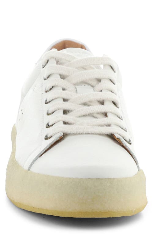 AMBITIOUS AMBITIOUS 13410 LOW TOP SNEAKER