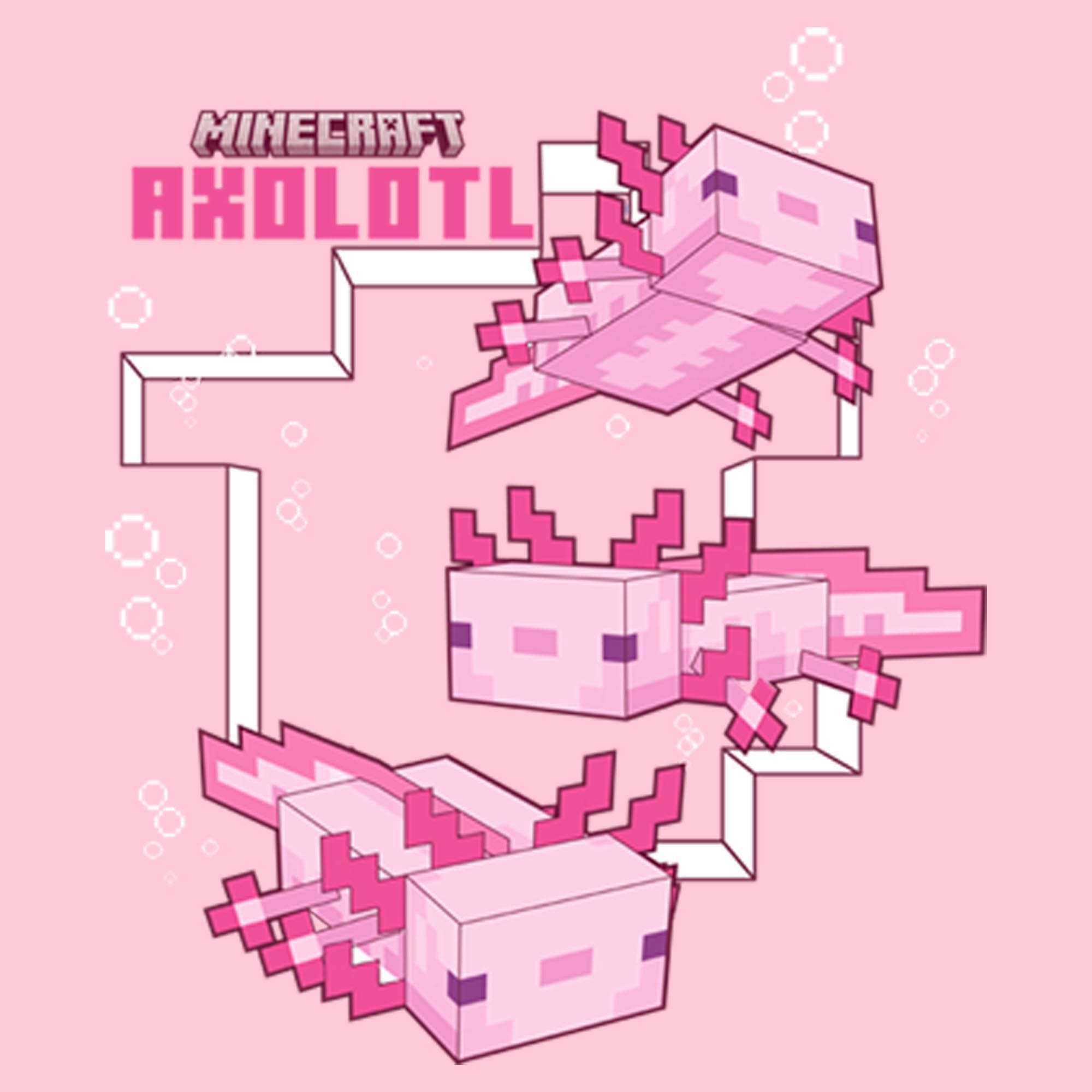 MINECRAFT Girls' Axolotl Graphic Short Sleeve Graphic Short Sleeve T ...