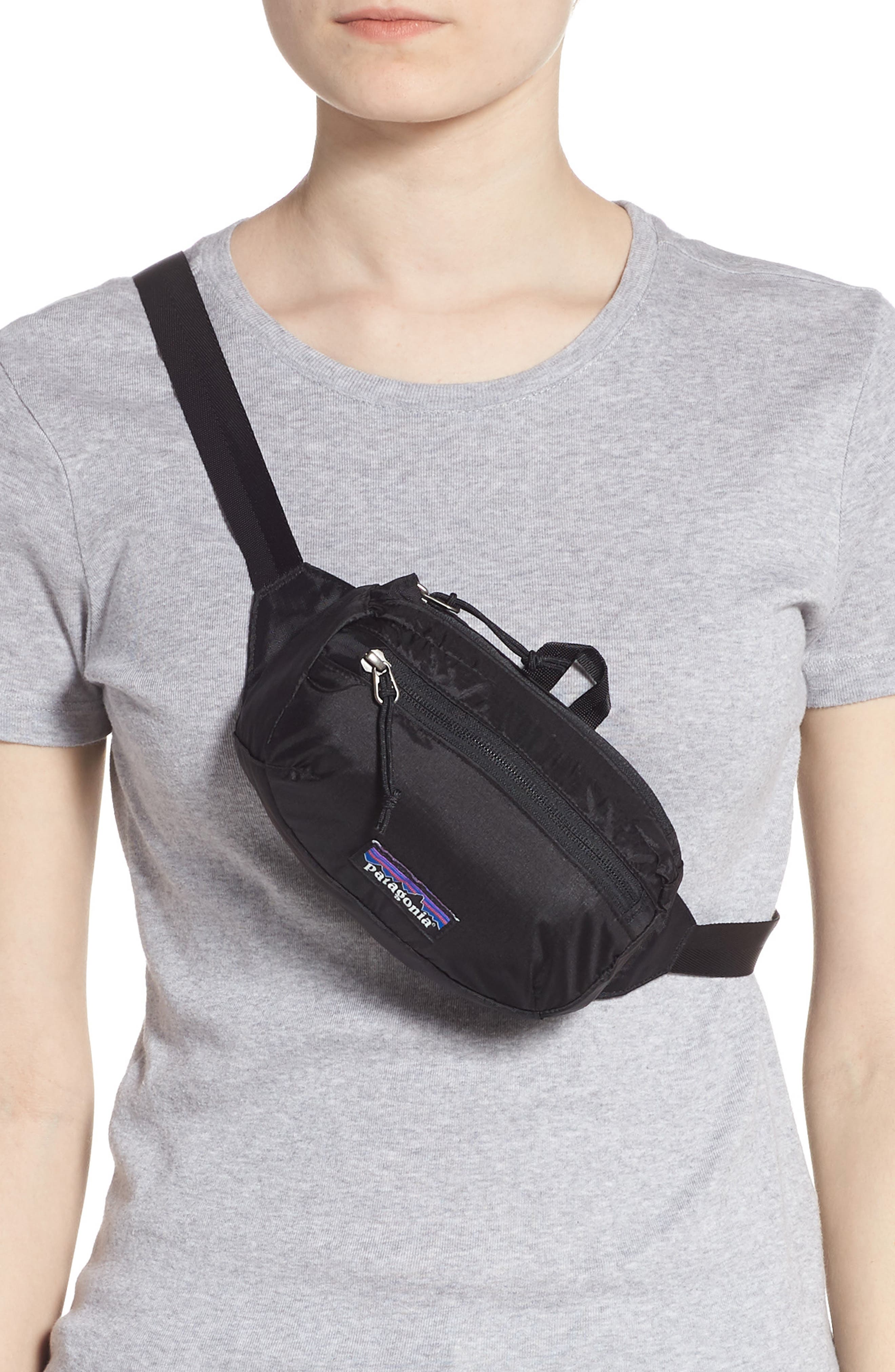 Patagonia Lightweight Mini Hip Pack, Alternate, color, 